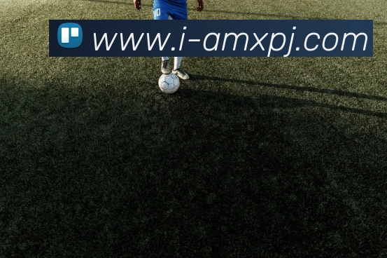 新葡京娱乐服务体系